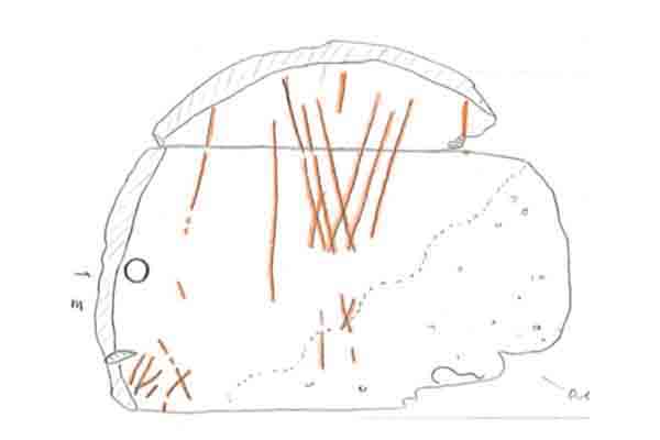 Image Alt Text