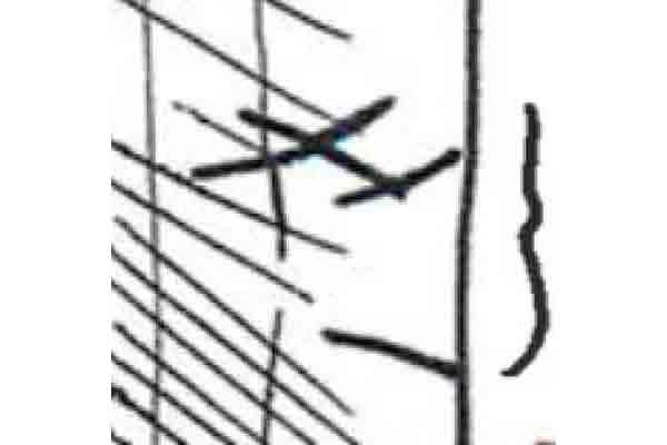 Image Alt Text