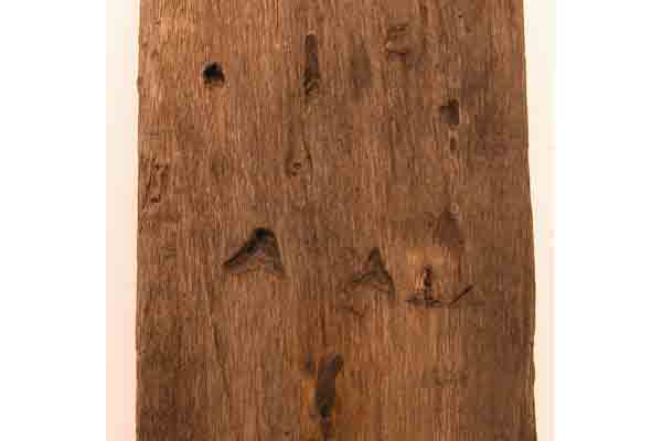 Image Alt Text