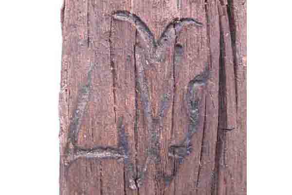 Image Alt Text