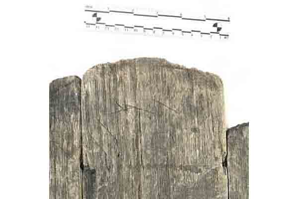 Image Alt Text