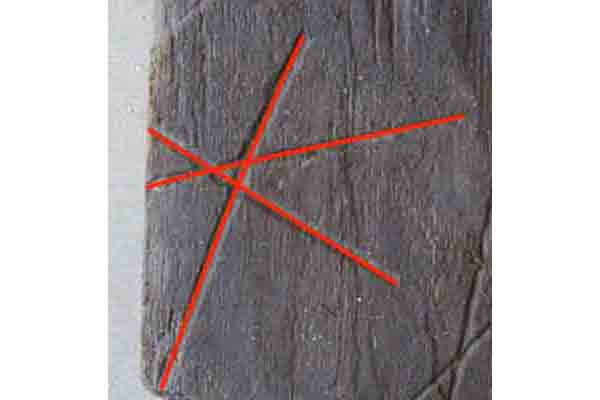 Image Alt Text