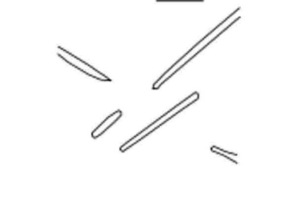 Image Alt Text