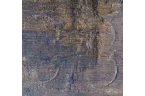 Image Alt Text