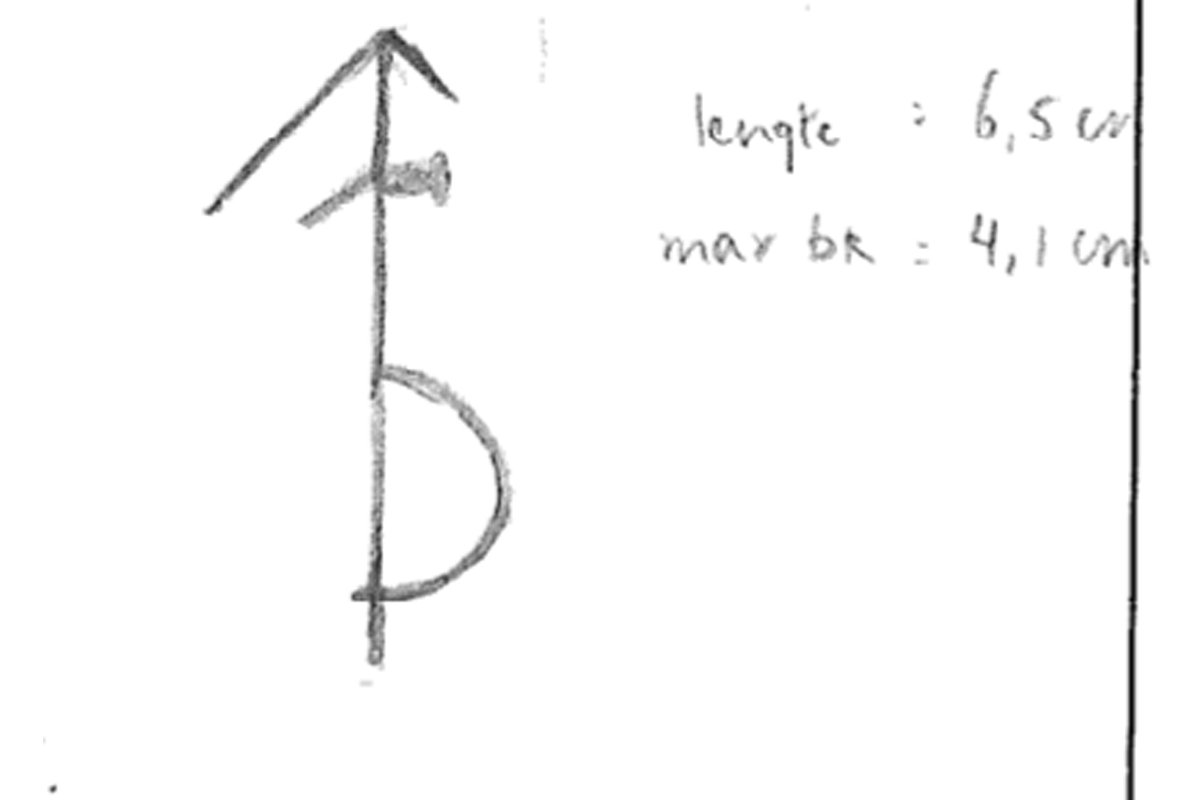 Third slide