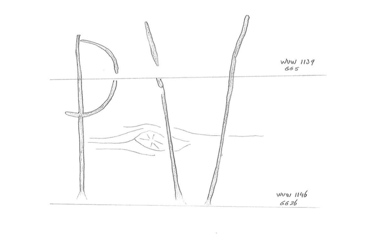 Third slide