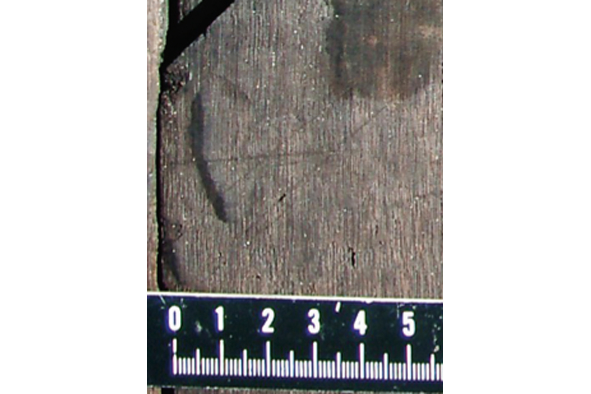 First slide